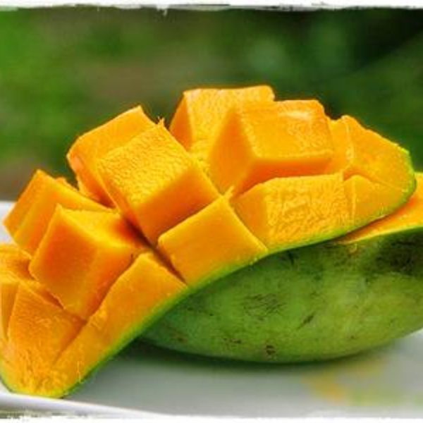 

FCW Jakbar - Mangga Manalagi 500 Gram