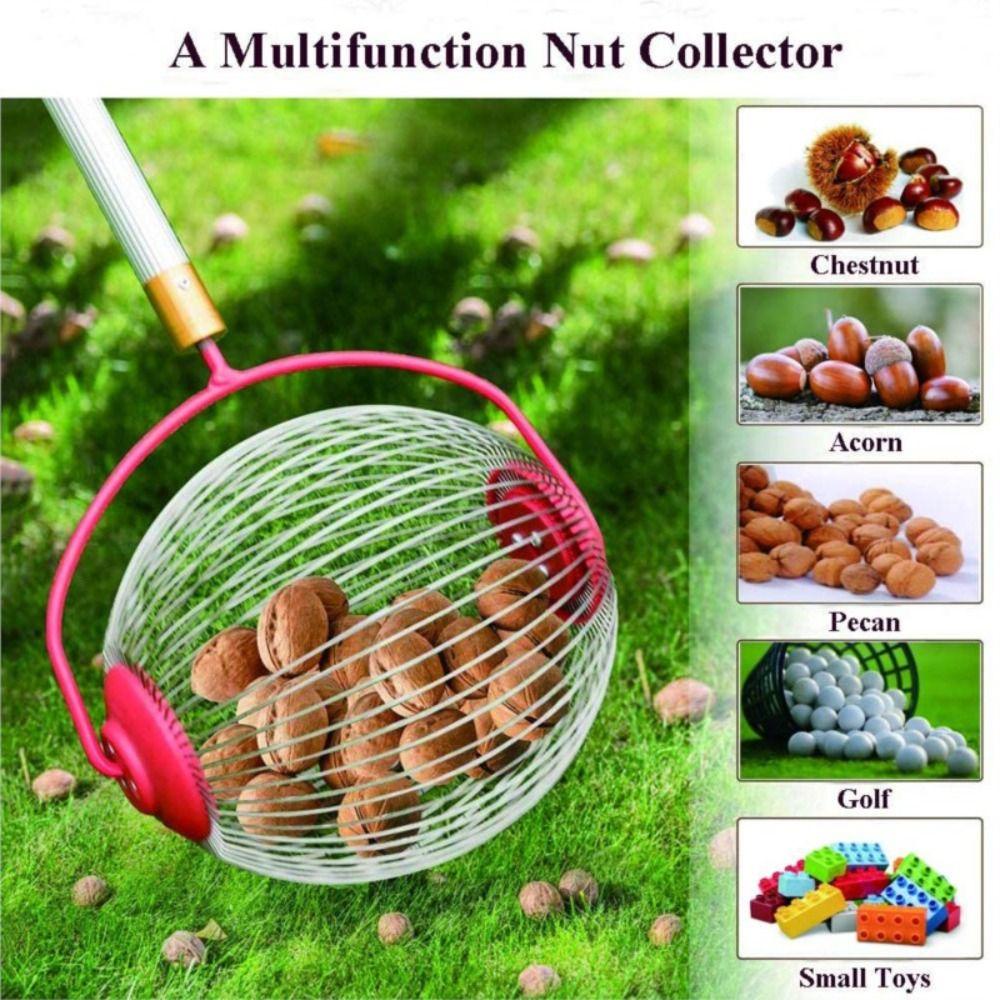 LANFY Ball Collector Chestnut Acorn Multifungsi Retractable Picker Collector Chestnut Collector Outdoor Alat Manual Nut Kumpulkan Rolling Fruit Picker Ball Picker