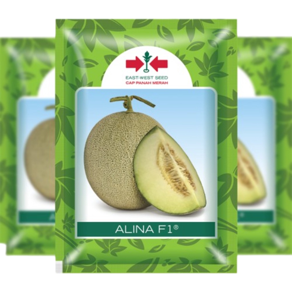 Benih Bibit Buah Melon Hijau Alina F1 Cap Panah Merah SP Kemasan Asli