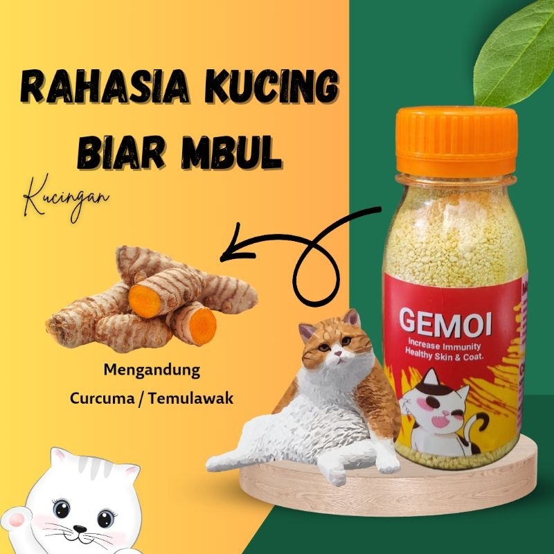 Vitamin Penggemuk dan Pelebat Bulu Anabul Mengandung Curcuma KUCINGAN