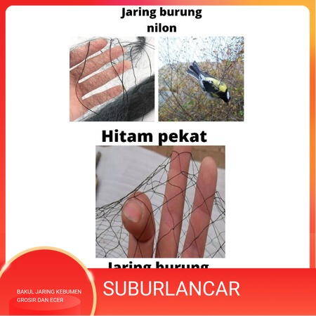 Jaring burung kecil jaring burung nilon pikat burung jebakan burung jaring burung emprit burung