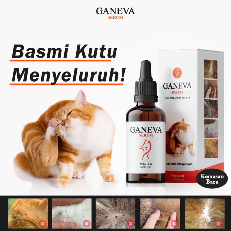 DK95R Ganeva Serum Anti Kutu Kucing (Ganeva Serum)
