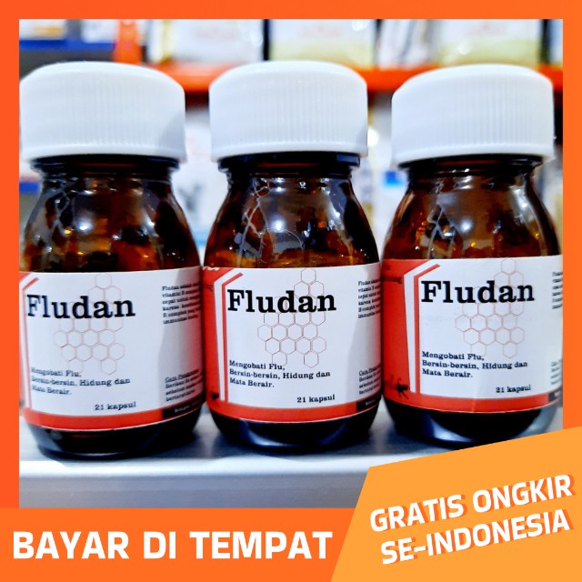 Obat ampuh kucing flu pilek bersin FLUDAN OBAT FLU KUCING BATUK PILEK KAPSUL