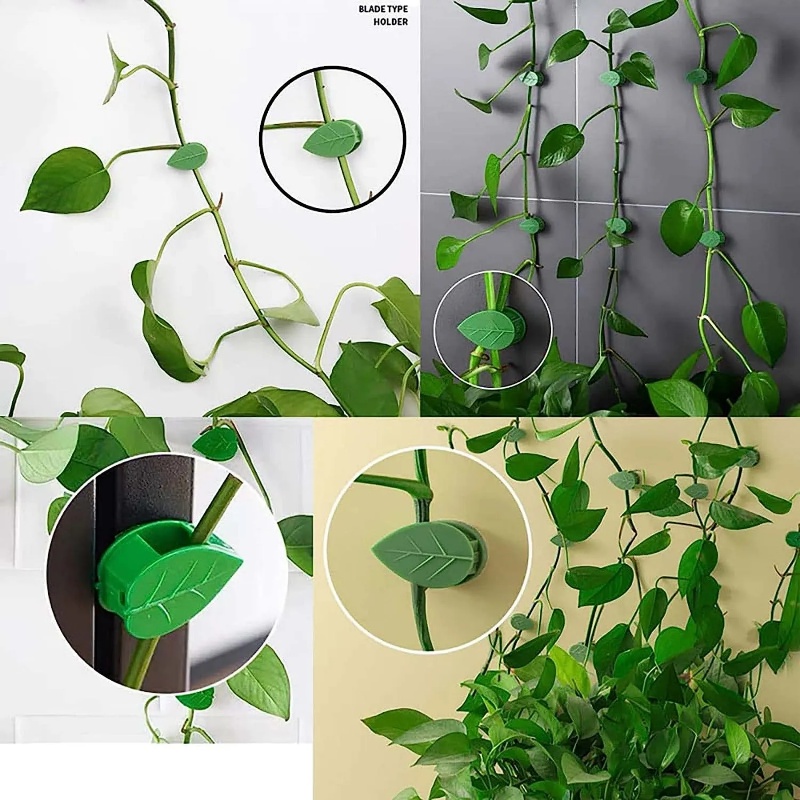 Plant Climbing Wall Fixture Clips Plant Fixer/Traksi Tanaman Rambat/Klip Pengikat Tanaman Rambat Dinding Bentuk Daun Hook/Invisible Plant Climbing Wall Supplies Rattan Vine Bracket/