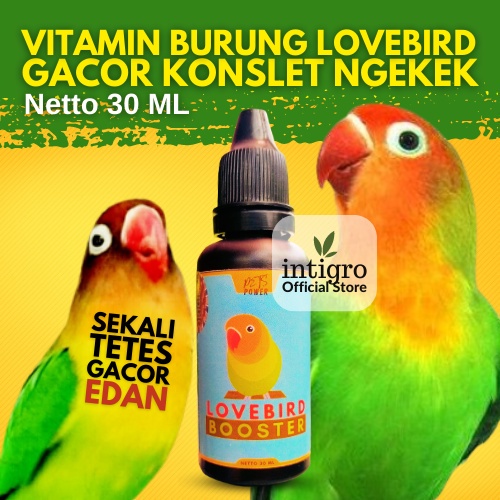 ( Bos_Organik ) Vitamin Burung Lovebird / Doping Lovebird Konslet / Vitamin Lovebird Konslet Gacor O