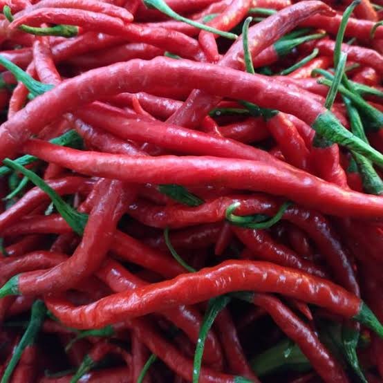 

Cabe Merah Keriting Ori Kualitas
