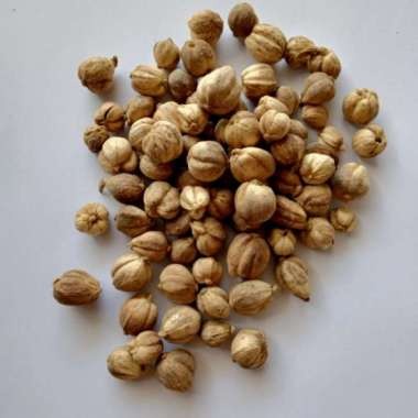 

Kapulaga Lokal 1kg - OBOR FOOD