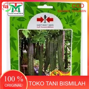 Benih Oyong Anggun F1 75 Butir