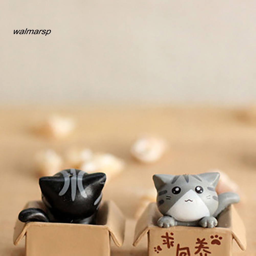 Ws Indah Kotak Kartun Kucing Miniatur Pemandangan Dekorasi Bonsai Resin Kerajinan Ornamen