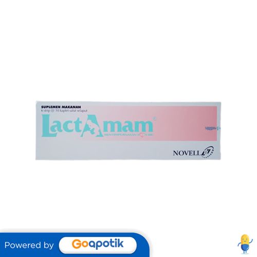 Lactamam Box 60 Kaplet