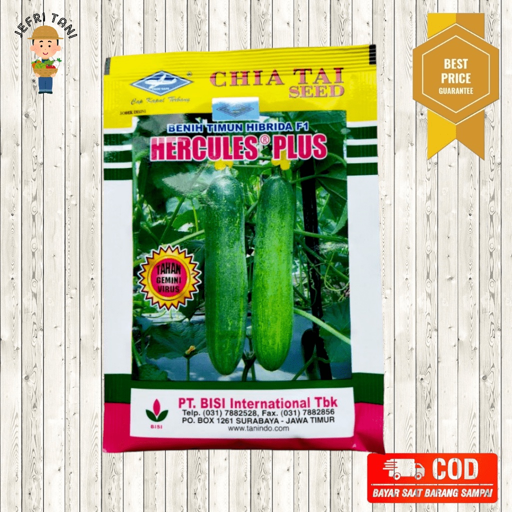 Hercules 25gr Benih Timun/Mentimun Hibrida