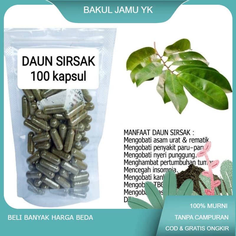 

Daun SIRSAK isi 100 kapsul untuk asam urat rematik