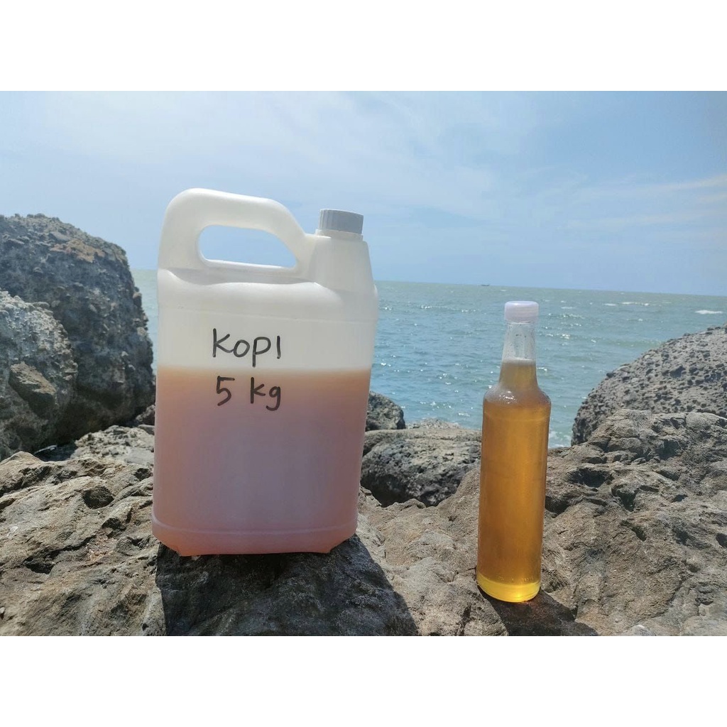 

5KG MADU MURNI JAMINAN ASLI