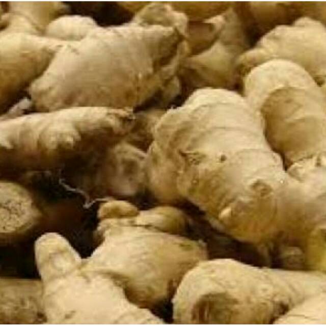 

Jahe Emprit Organik 100gr (CitraFood)