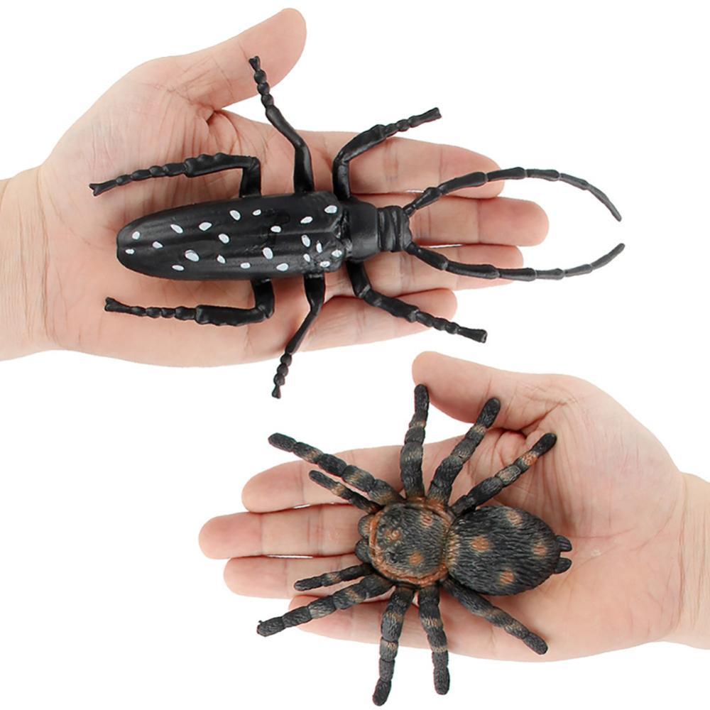 Timekey 1Pc Simulasi Serangga Patung Kumbang Spiders Mantis Longicorn Prank Mainan Edukasi Model Action Figure Mainan Anak R1U1