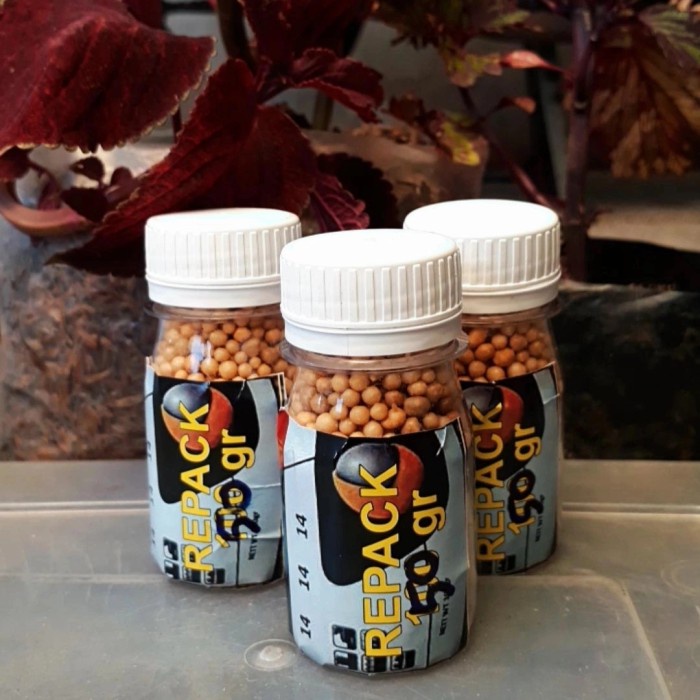 pupuk osmocote 14 14 14 seimbang repack 50 gram, pupuk slow release