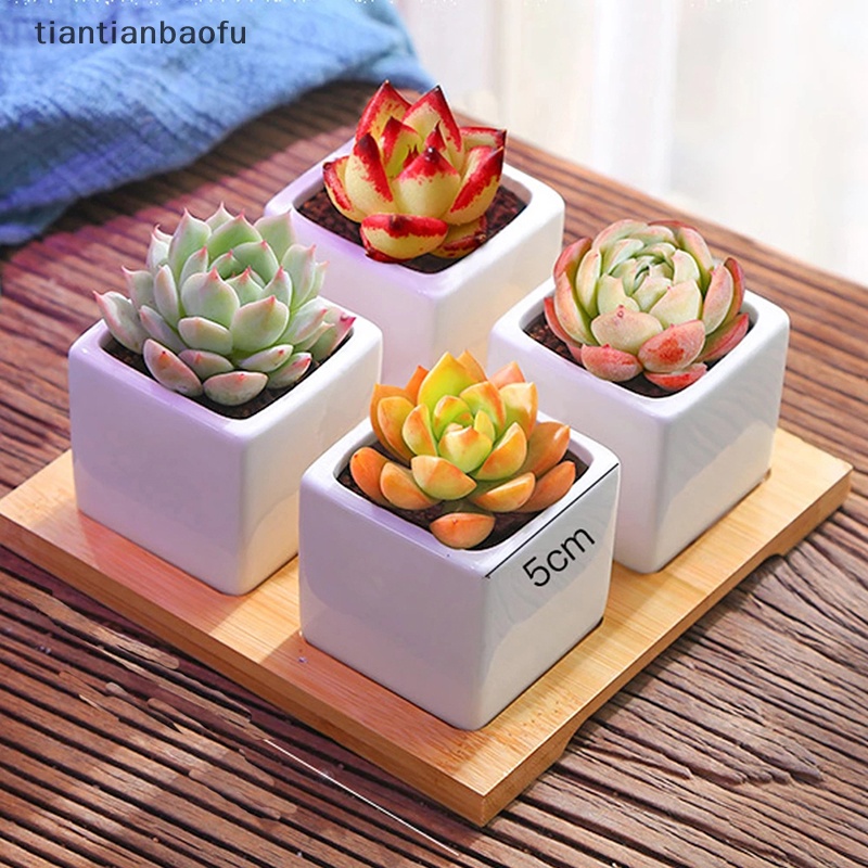 [tiantianbaofu] Persegi Silikon Pot Bunga Cetakan DIY Concrete Planter Semen Succulent Pot Cetakan Butik