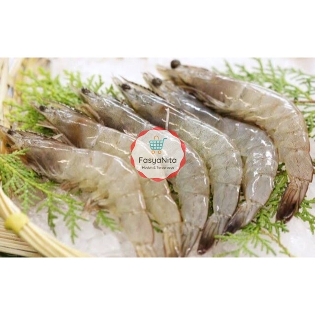 

Udang Vaname Besar Putih Kualitas Super Ikan Segar Fresh