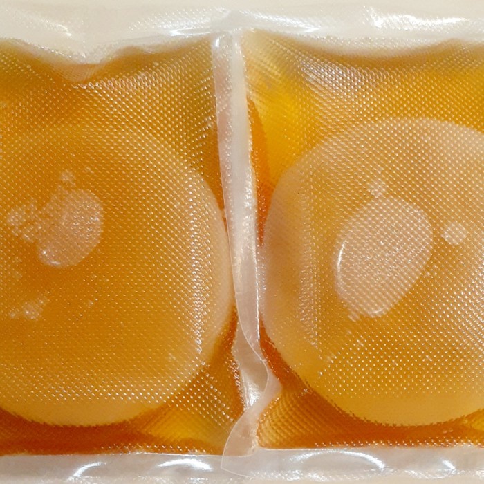 Bibit Scoby Jamur Kombucha