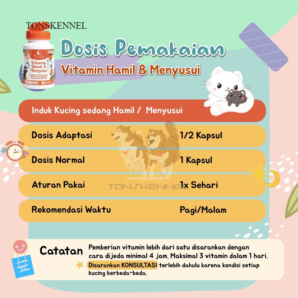 Olive Care Vitamin Kucing HAMIL &amp; MENYUSUI untuk Produksi Asi, Perkembangan Bayi, Multivitamin Induk Kucing dan Menjaga Nafsu Makan