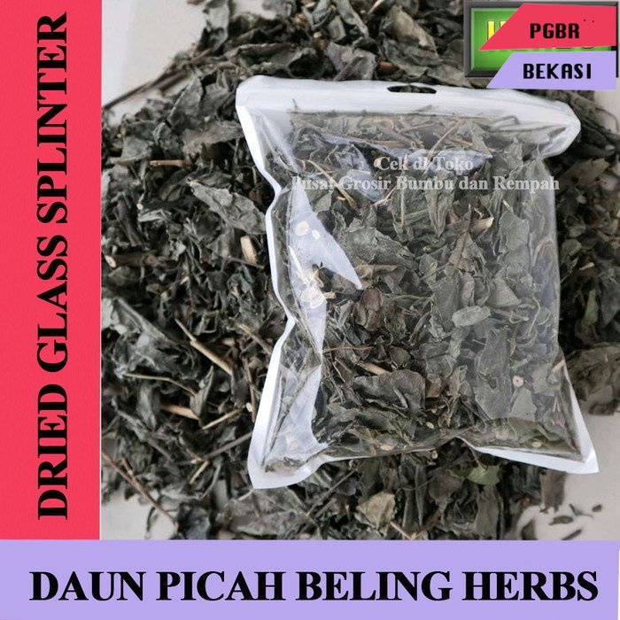 

Daun Keji Beling 250 gram / PGBR HERBS/ Daun Pecah beling segar