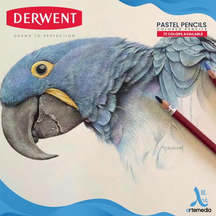 

Pensil Warna Pastel Derwent Pencil Satuan