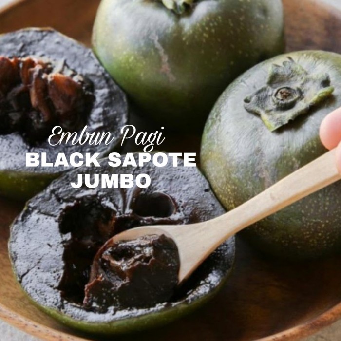 

Jual Buah Black Sapote Jumbo Rasa Puding Coklat