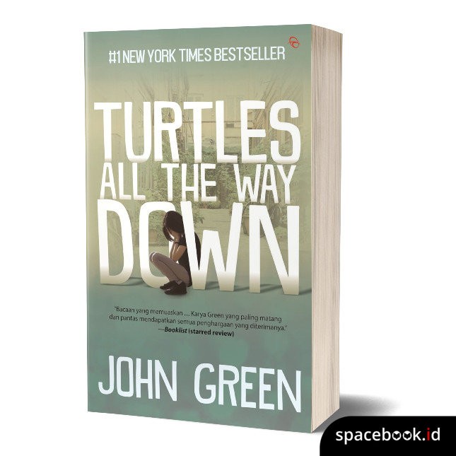 TURTLES ALL THE WAY DOWN