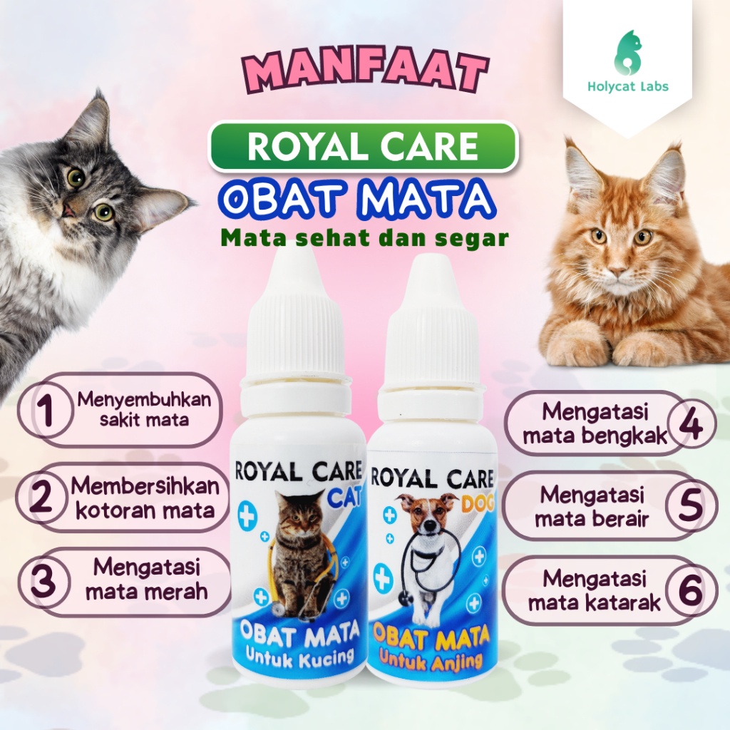 Obat Mata tetes Kucing Royal Care Cat 10 ML Ampuh Mengobati Iritasi Mata