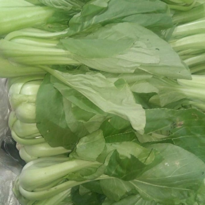 

Pakcoy - 1/4 kg