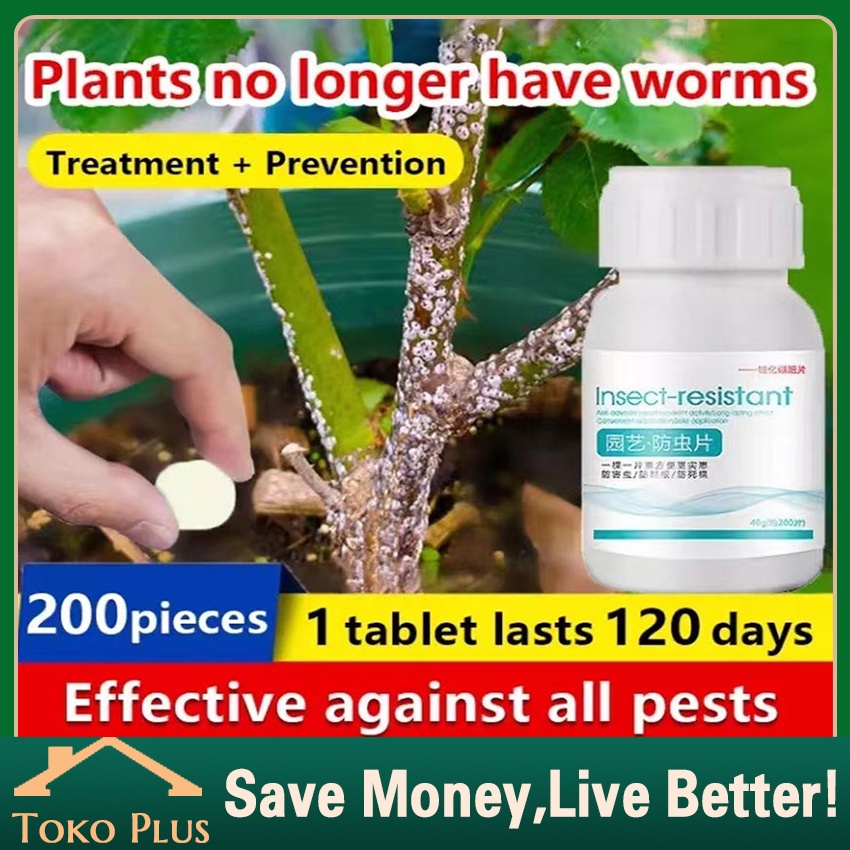 Baru Obat Hama Ulat Buah Serangga Pestisida Nabati Tanaman Hias, Insektisida Tanaman