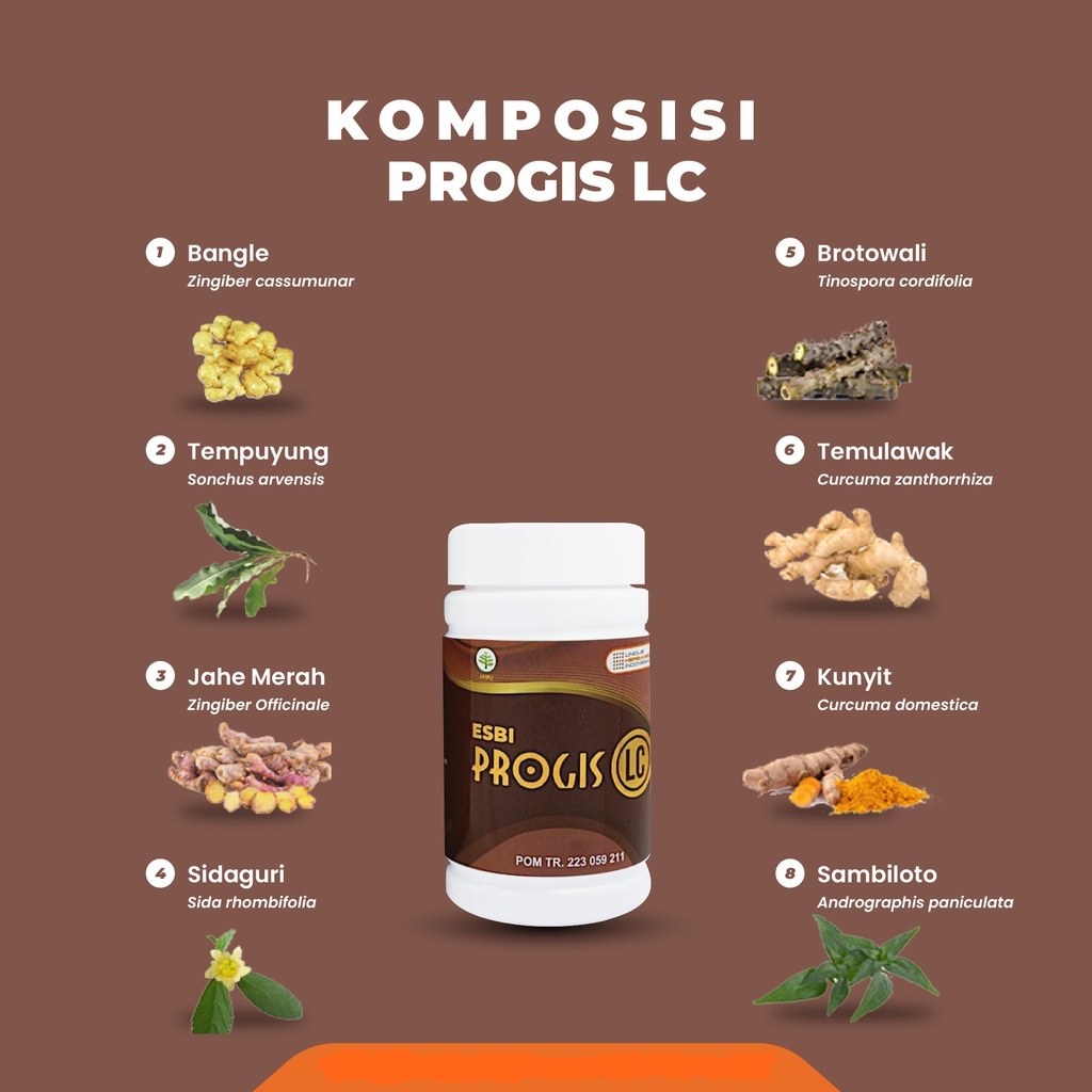 Esbi Progis LC Obat Saraf Kejepit Rematik dan Asam Urat Herbal Manjur ASLI ORIGINAL