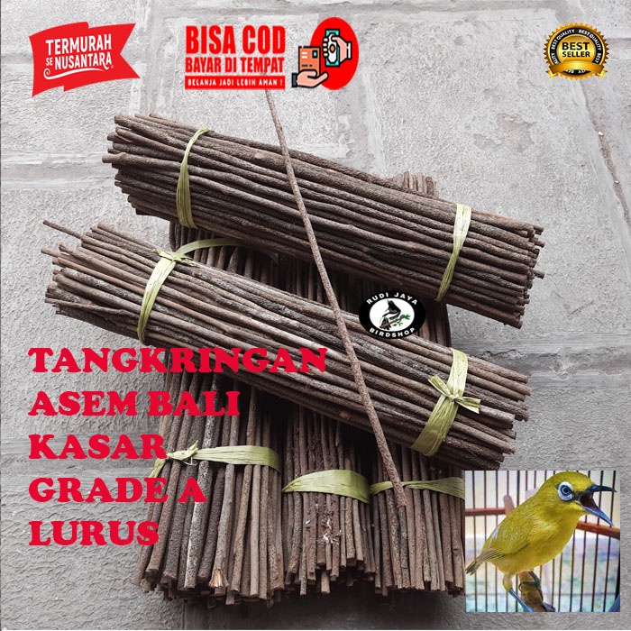 TANGKRINGAN BURUNG KAYU ASAM ASEM BALI KASAR GRADE A SANGKAR BURUNG MURAI KACER KENARI PLECI KONIN