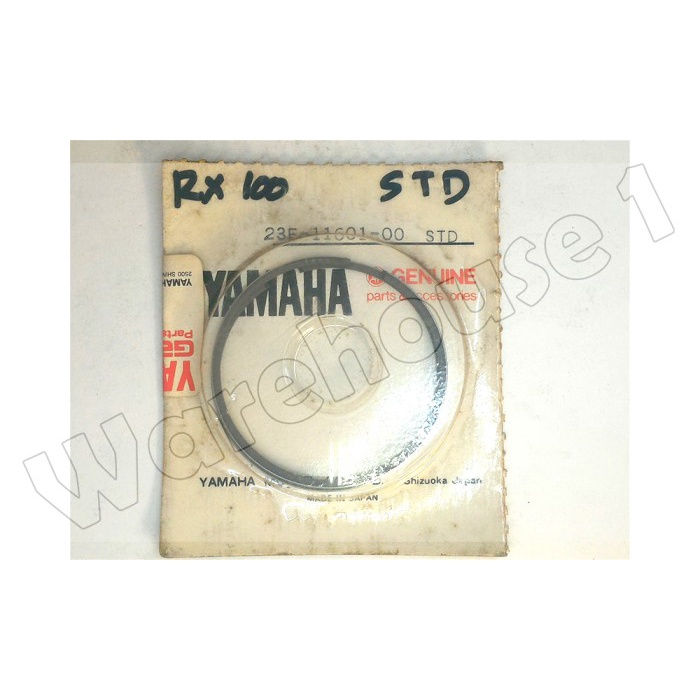 Ring Piston RX100 Import
