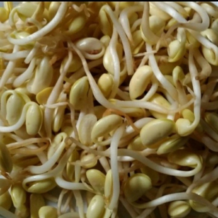 

Toge kedelai 250gr - 1/4 kg