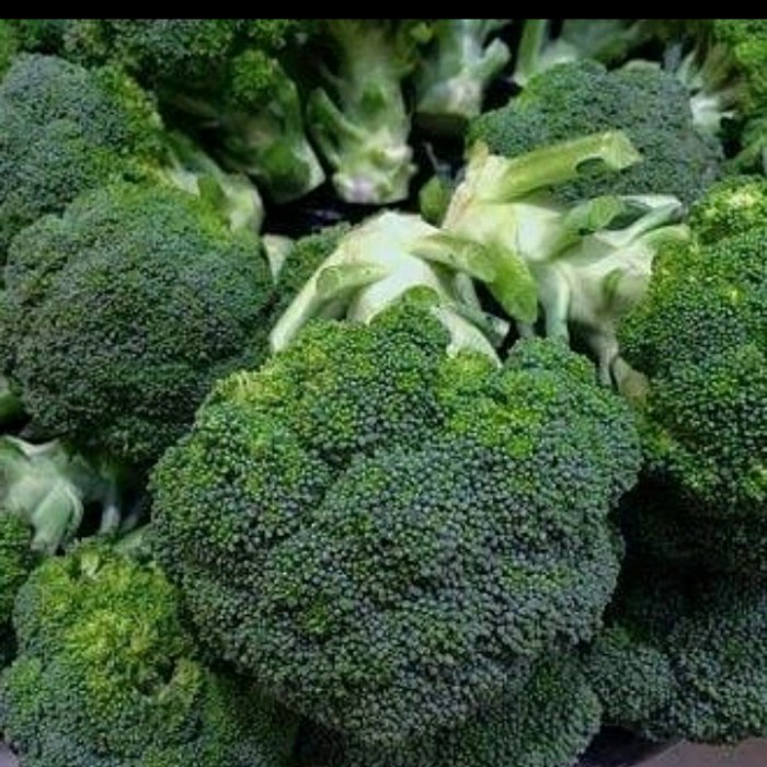 

Brokoli segar 250 gr