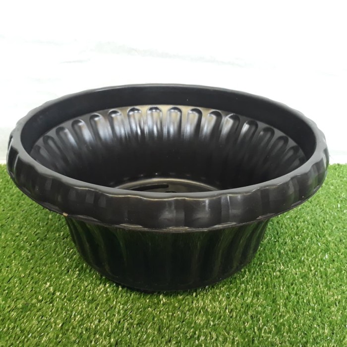 pot bonsai glory 25 , pot adenium hitam, pot ceper