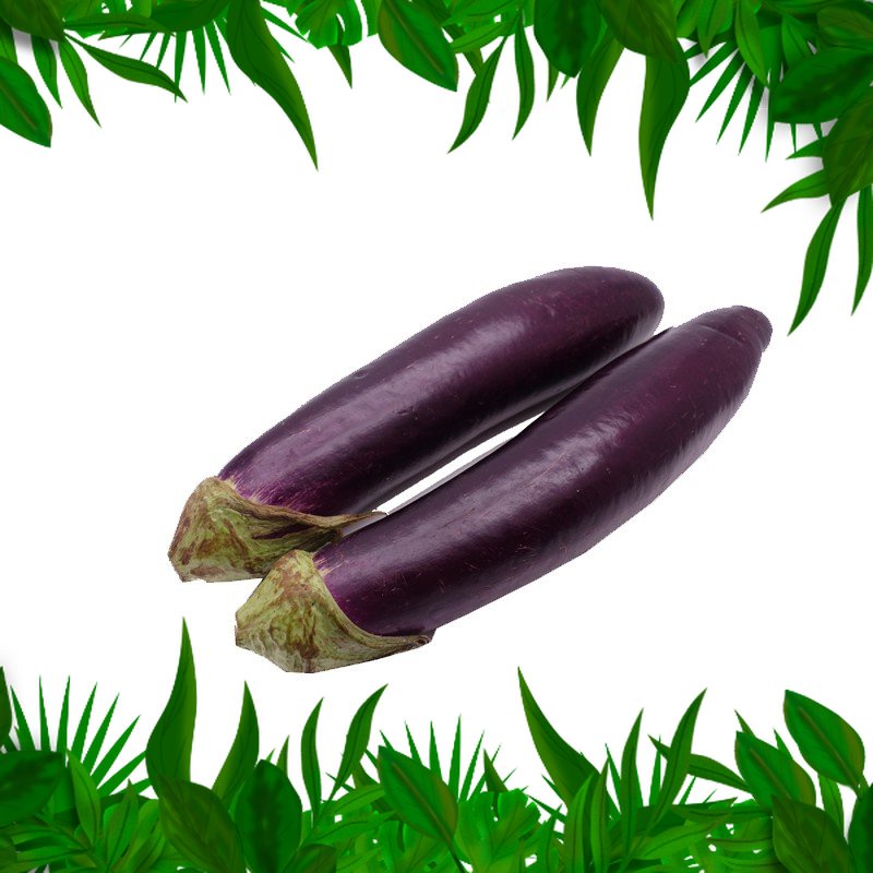 

SAYURAN FRESH NUSANTARA- terong ungu (500 gr)