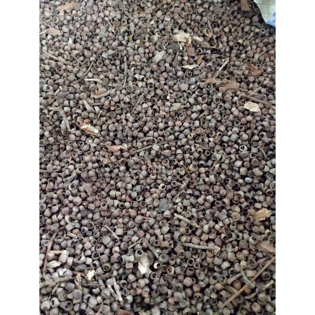 

Mrico bolong Lada Bolong 1 Kg Tanaman Herbal Nusantara Free Stiker PIRT Random