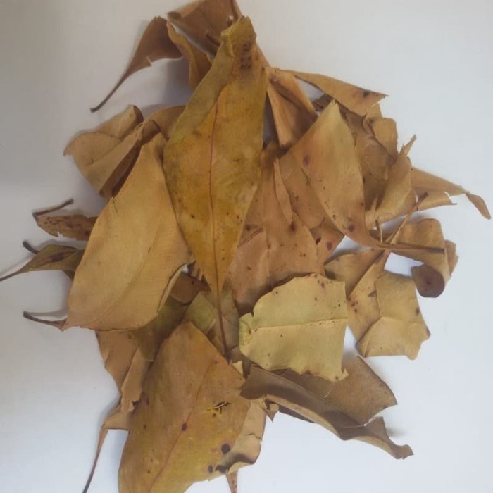 

PROMO daun cengkeh kering 100 gram Premium