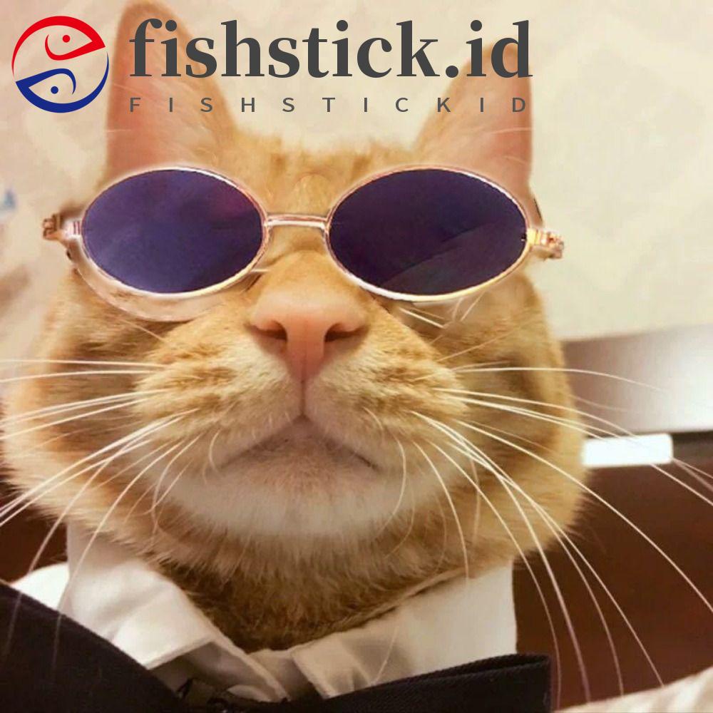 Kacamata Hitam Kucing FISHSTICK 2023kacamata Hitam Anjing Hias Multicolor Perlindungan UV