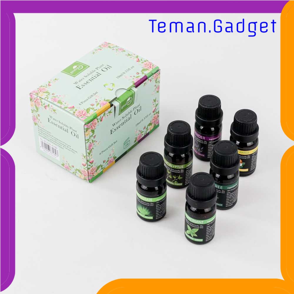 TG -  ART Gzoliya Essential Oils Minyak Aromatherapy Diffusers 10ml 6 PCS - YLS20