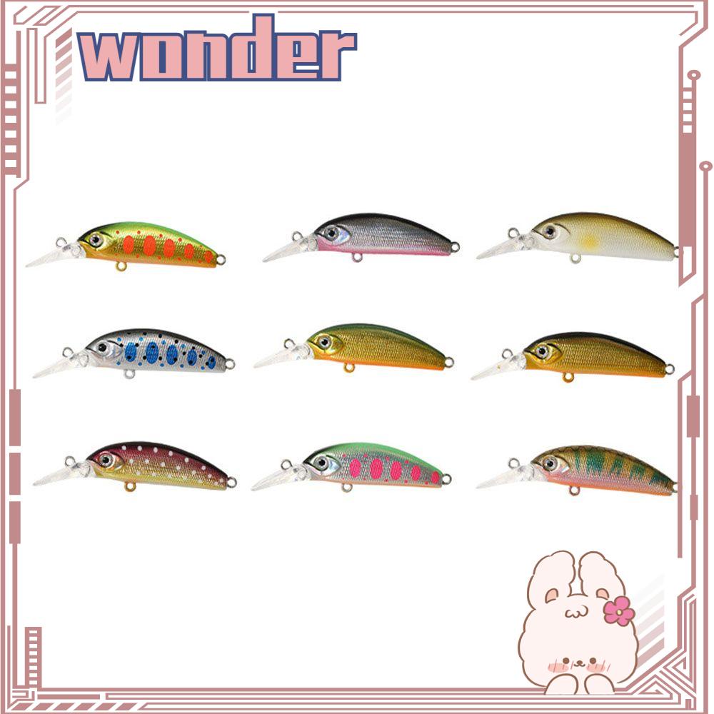 Wonder Tenggelam Umpan Ikan Kecil Outdoor Crankbaits Micro Minnow Lures