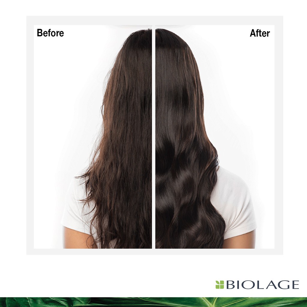 Biolage Massage Creme Oil - Double Cleansing Perawatan Sebelum Keramas