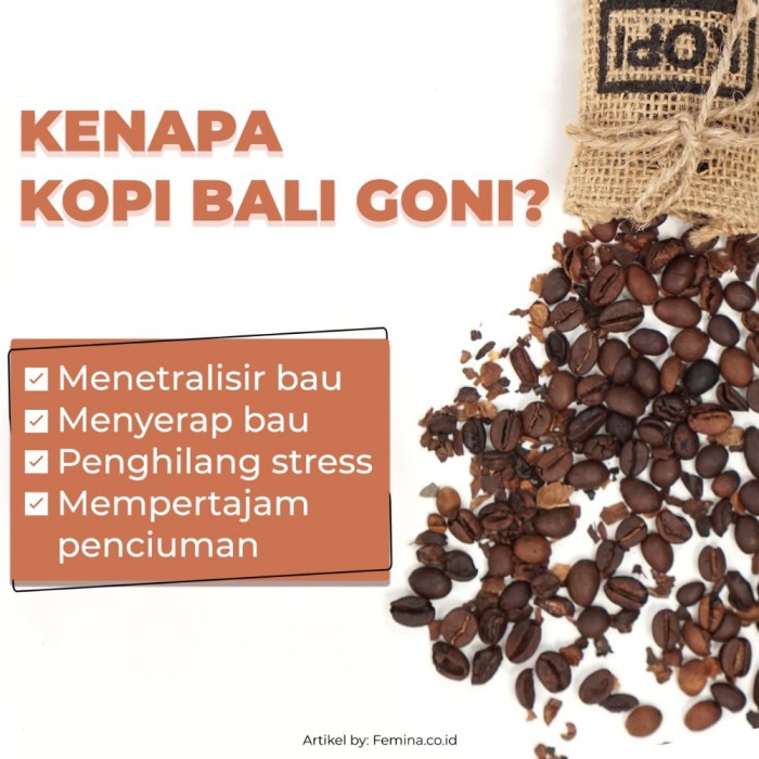 Pengharum Ruangan Parfum Mobil KOPI BALI GONI