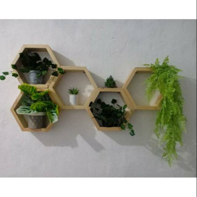 HidroAquatic - 6pcs rak dinding hexagonal