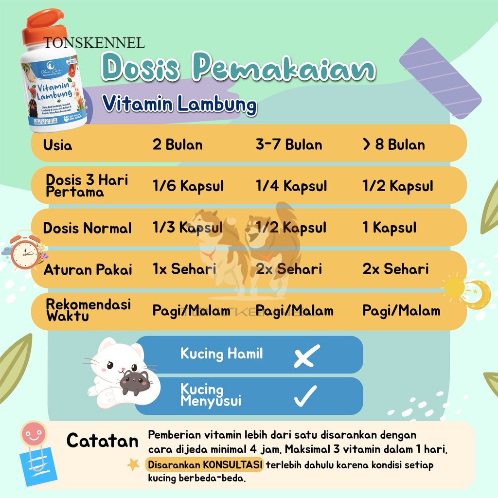 Olive Care Vitamin Kucing MASALAH PENCERNAAN untuk Diare, Mencret, Pup Berdarah dan Radang Usus