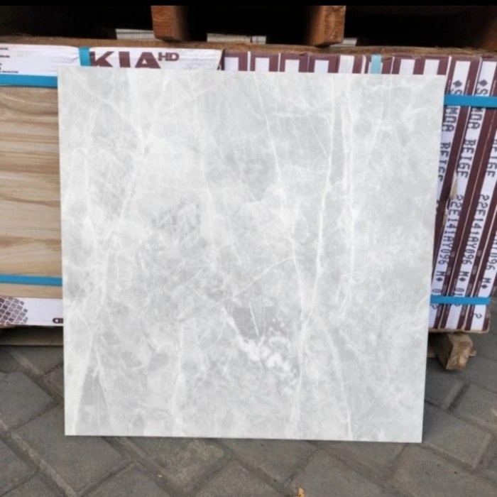 granit lantai 60x60 kia elies Grey polished /granit keramikk