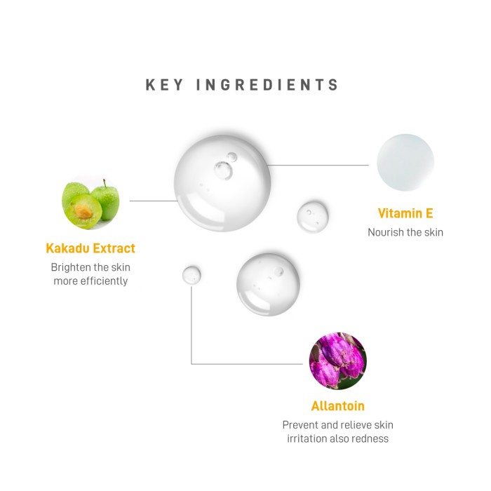 NAMA 2in1 Matte Booster Brightening Face Setting Spray Oil Control