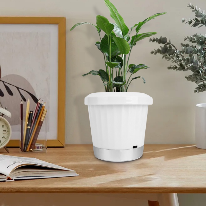 Alfinarm alfinolor parkit alfinlowerpot alfinamp / alfinight-emitting alfinlower alfinot / maroccoedroom alfinard erkapecor alfinighting / alfinreen asfalant suketultivate suketontainer / suket ungkal ung suketdanscape halilintar